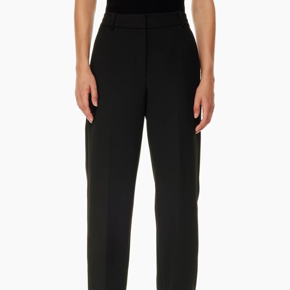 Aritzia Babaton Command Pant